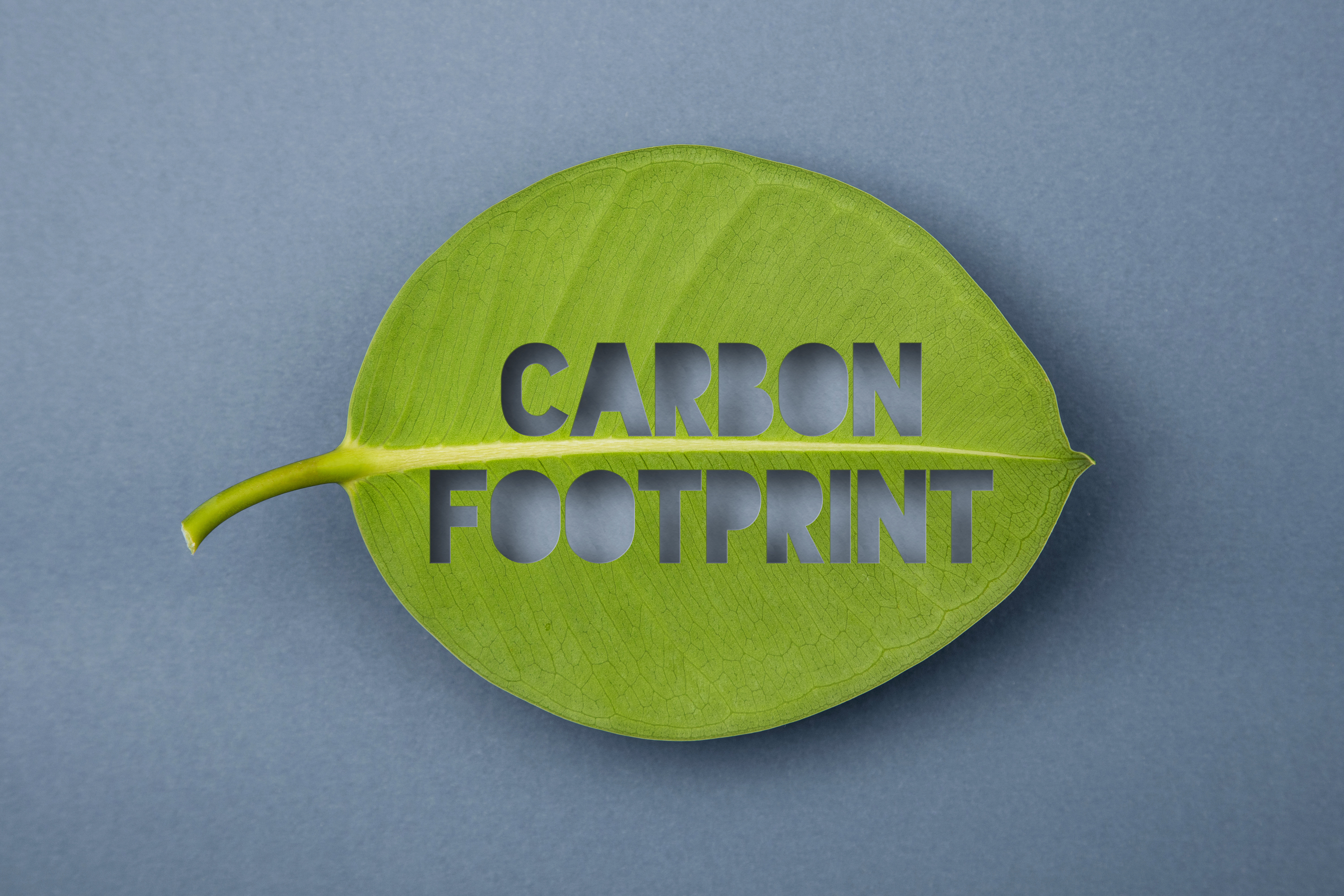 Carbon footprint